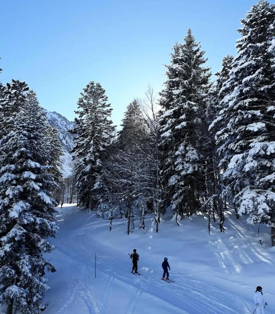 Residence Ayre - Studio Expose Sud Proche Du Centre De Bareges Mae-8514